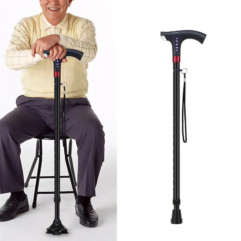 Multifunctional Smart Cane