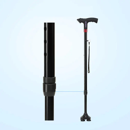 Multifunctional Smart Cane